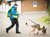 – Slik kommer du i gang som hundefører