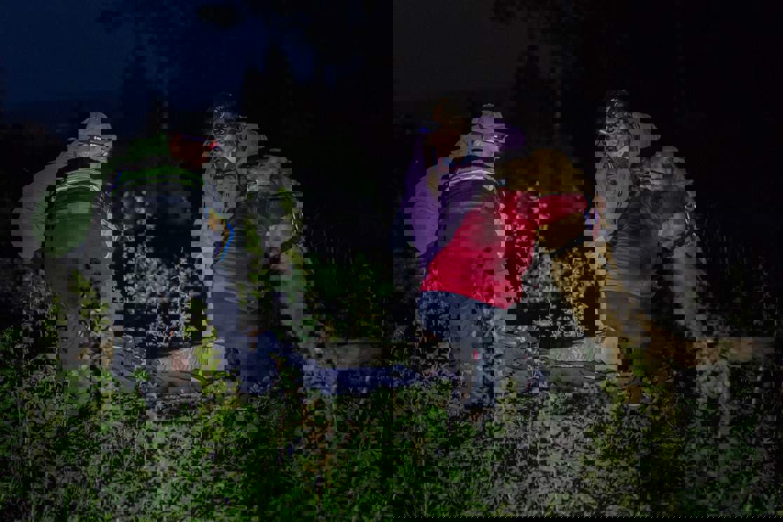 utmarsj.jpg