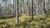 Distrikt Romerike inviterer til grunnkurs utmarsj 8.-9. juni 2018