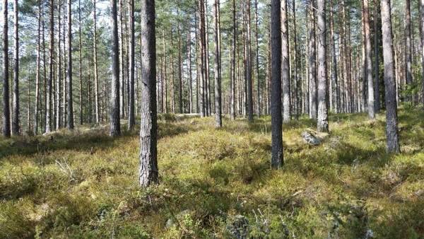 Utmarsj i Romerike /media/49849/20180415_135732.jpg