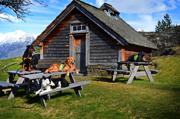 Appellprøve /media/50095/dsc_0134.jpg