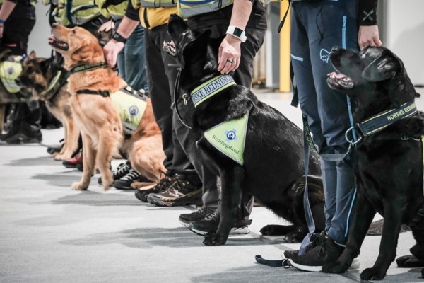 /media/50559/oslo-dog-show.jpg