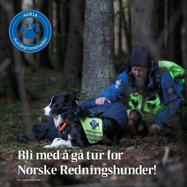 Agria Hundepromenade til inntekt for NRH! /media/50648/grafiskinstagram1080x108016.jpg