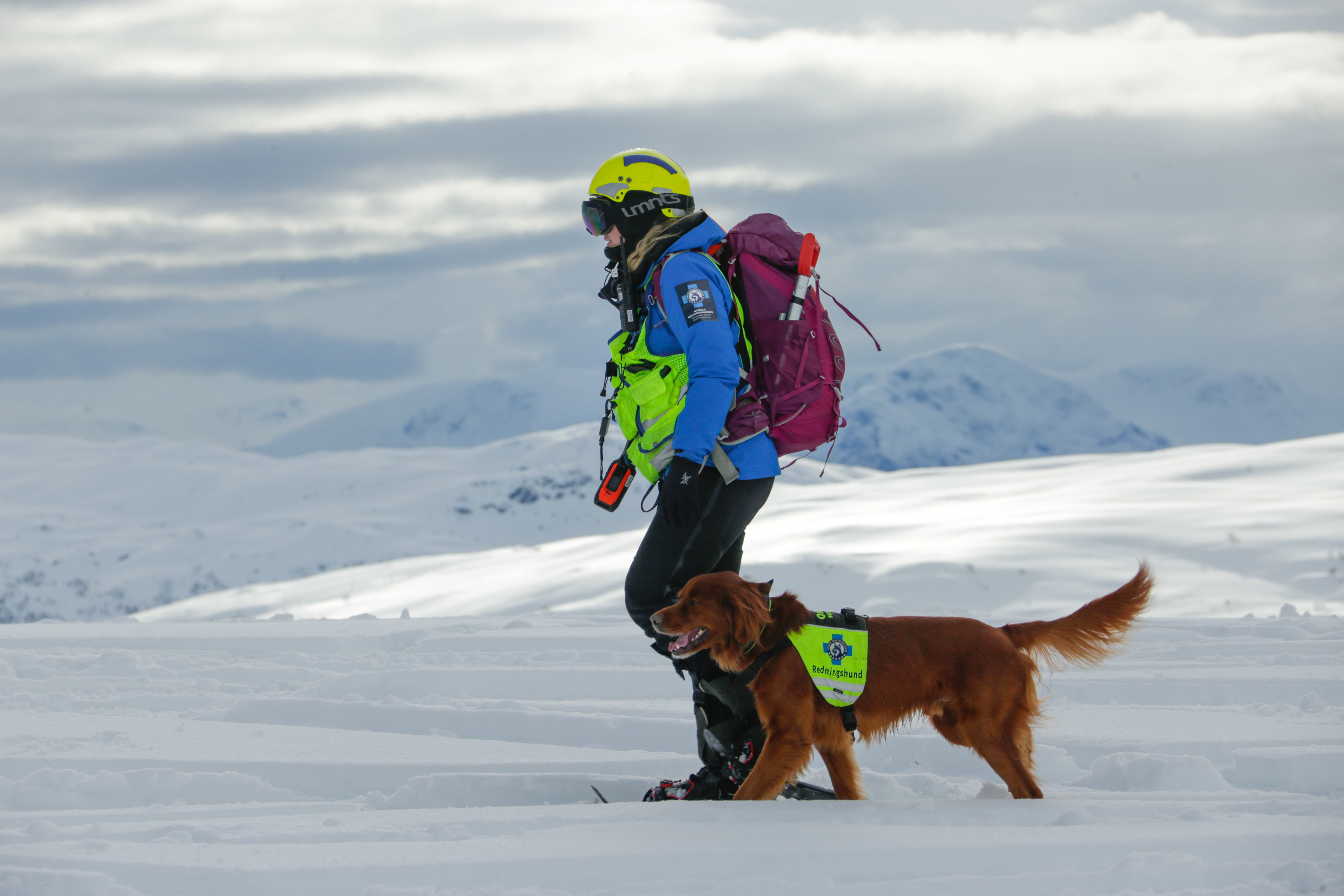 NRH Mars 24 Øving 4