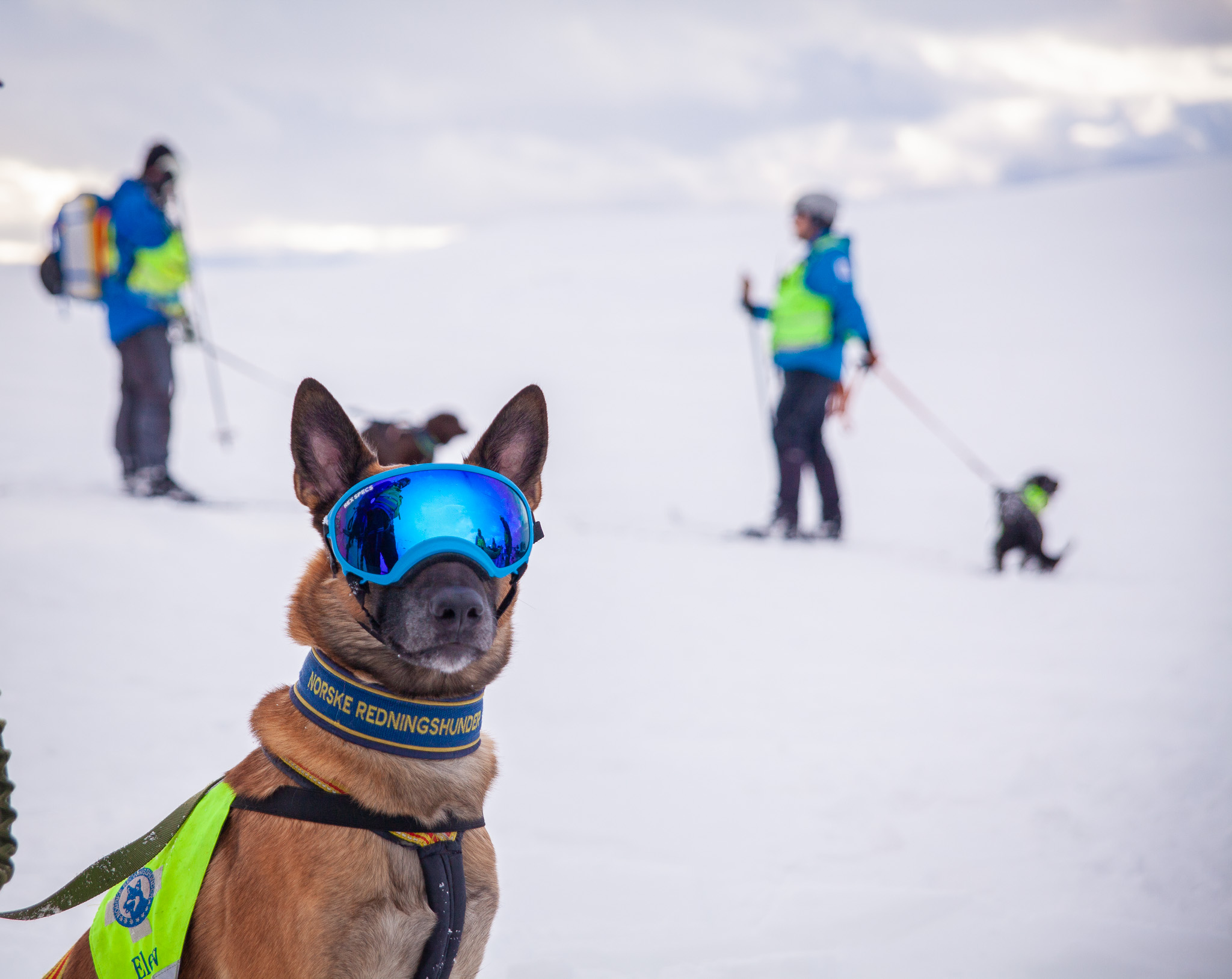 Påmeldingen er nå åpen. Bli med på vinterens kurs!